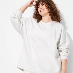 46. Wild Fable Oversized Crewneck